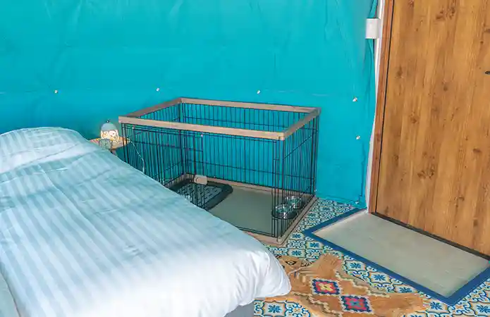 Pet Dome Tent