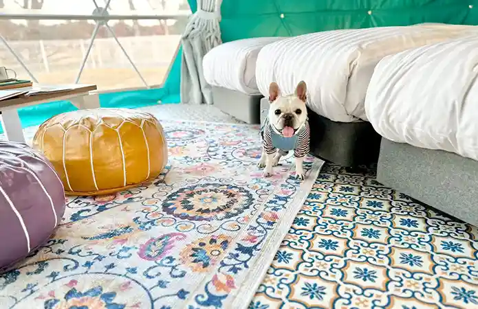 Pet Dome Tent