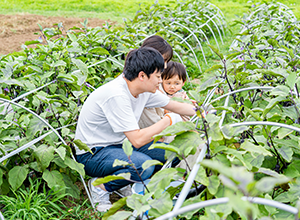 野菜収穫体験集合場所