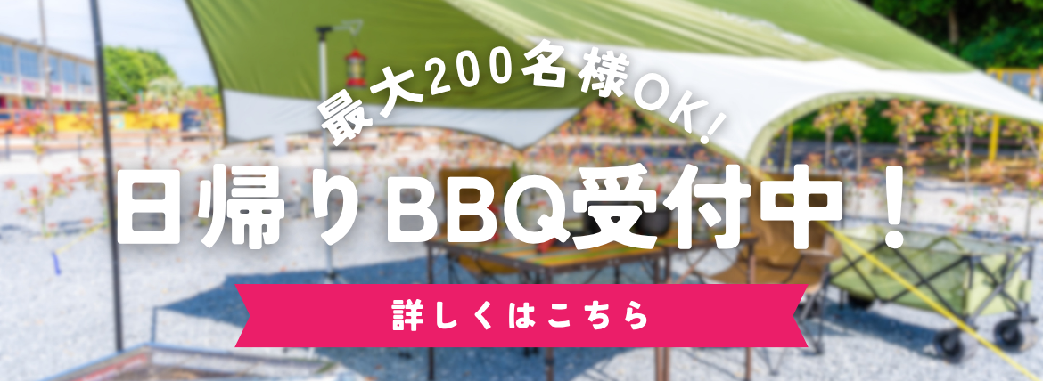 メディア掲載