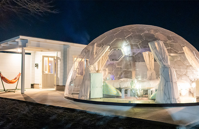 Clear Dome Tent